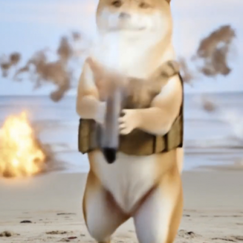 Pet Warrior: Empower Your Pet!